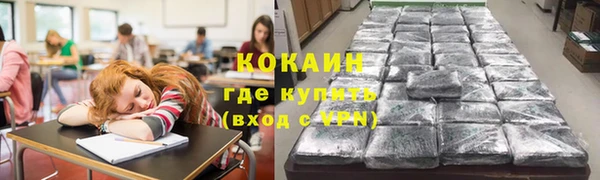 дурь Алзамай
