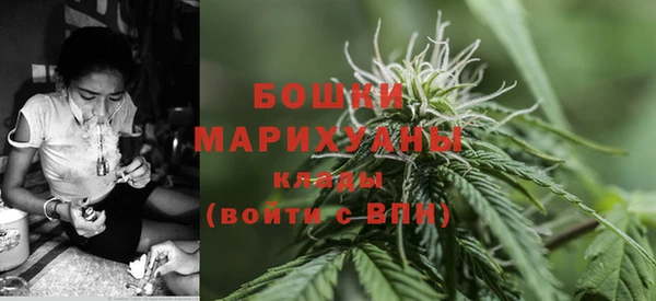 дурь Алзамай